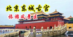 国模大尺度掰穴抠逼私拍中国北京-东城古宫旅游风景区